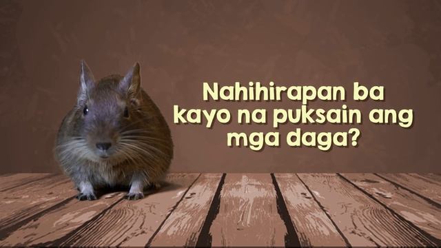 Greenbug Media Production | Klerat Rodenticide product teaser | Agway Chemicals Corp. смотреть онлайн