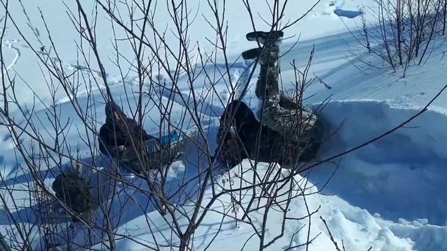 Зимние выходные!#зимниевыходные #лесзимой #прогулкавлес # смотреть онлайн