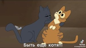 Где-то на границе между грозовым племенем и племенем ветра: