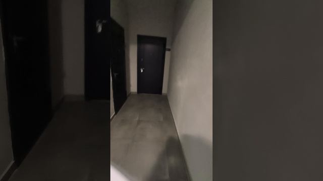 VID_20250305_130633
