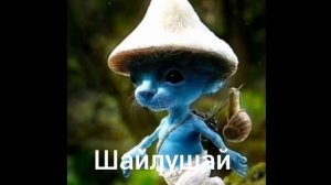 шайлушай песня