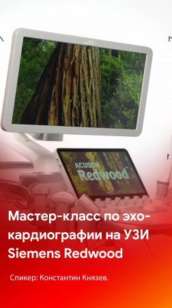 Мастер-класс по ЭхоКГ на Siemens Redwood - уже на канале