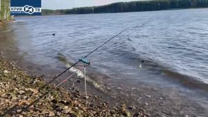 "Клуб охотников и рыболовов" выпуск 56 "Рыбалка на Рефтинском водохранилище"
