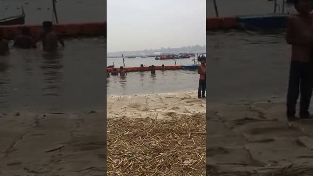 Sangam dolphin смотреть онлайн