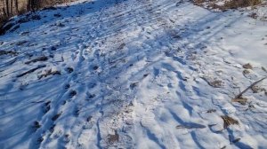 ЗАБРОШЕННЫЕ ПОГРЕБА В ТВЕРСКОЙ ОБЛАСТИ?! ЧТО ХРАНИТСЯ ЗА СТАНЦЕЕЙ ГРЭС?!