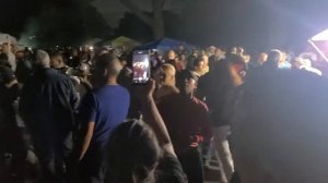 NYC Calle 8 Salsa, Salsa