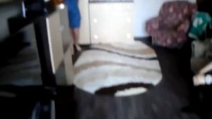 Немецкая овчарка дождалась друга из армии 2.