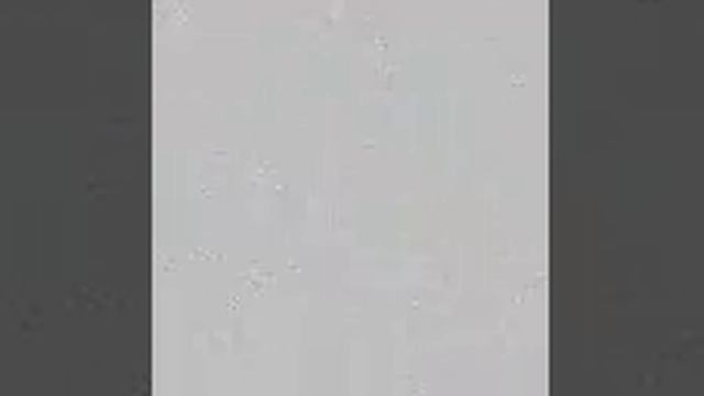 Прямая трансляция Berry Red - Бесконечное лето, Аниме, покер, Гуси, альпаки и КО. смотреть онлайн