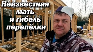 Весенние приключения на даче: Кролики, стройка и секреты!" 🌼🐇🏡