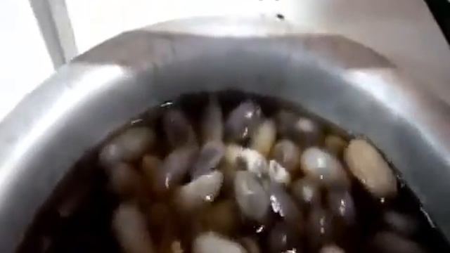 Automatic Reeling & Spinning Machine_(Silk, Muga, Eri)_Nabajit Bharali смотреть онлайн