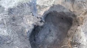 Самая крупная Находка в начале этого года!!! 2023