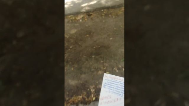 возврат оферты без акцепта. смотреть онлайн