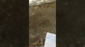 возврат оферты без акцепта.