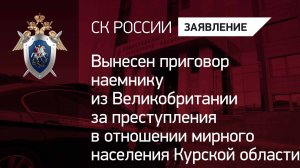 Вынесен приговор иностранному наемнику за преступления в отношении мирного населения Курской области