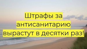 Роспотребнадзор поддержал повышение штрафов за антисанитарию в квартирах: новые суммы и последствия