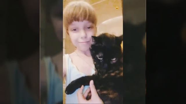 |КАЖДАЯ КОШКА ТАКАЯ| - Viol ka смотреть онлайн