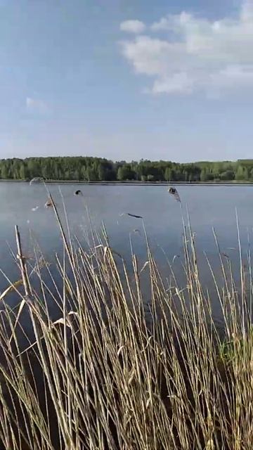 рыбалка берег природа