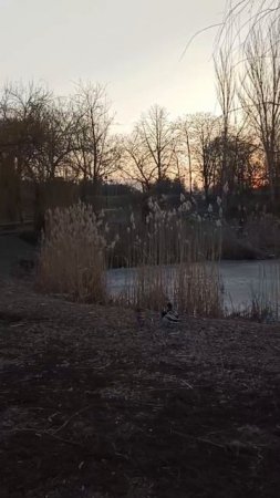 Прогулка по набережной Донецка