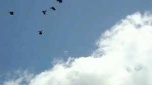 Полет Курского Турмана