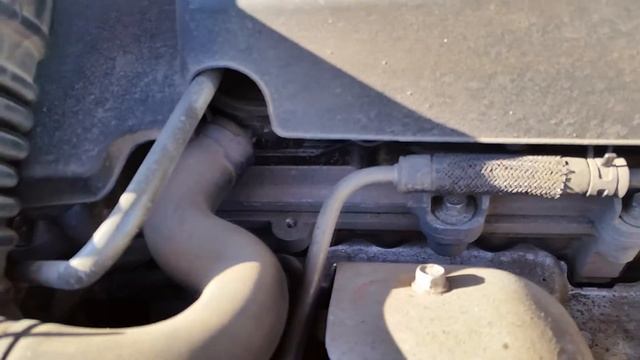 Новые звуки.  Одиночный цок(1) смотреть онлайн