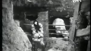 Cher - Sunny (Official Music Video)