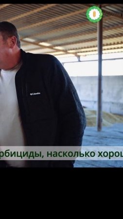 Секрет выращивания подсолнечника.