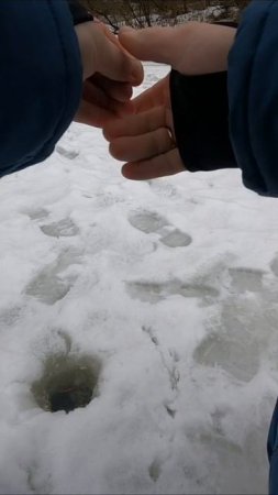 ДУМАЛ ТАМ ЕРШ,А ТАМ...?