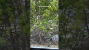 Ситуация в тепличном после паводка #ско #Петропавловск #паводки #тепличное