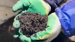 Компания АМРИТЭКС