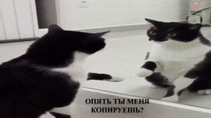 Пусть новый день приготовит тебе много приятных сюрпризов!