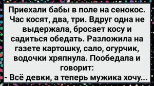 Как Бабы на Сенокос Приехали! Большой Сборник Свежих Смешных Анекдотов!