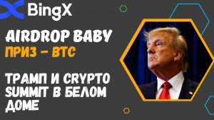 BINGX / BABY COIN / AIRDROP