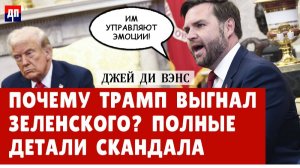 Интервью Джей Ди Венса: Почему Трамп выгнал Зеленского?