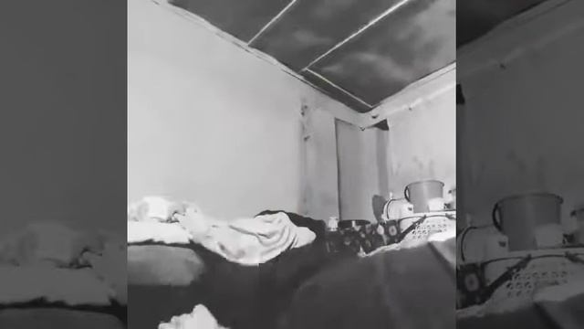 Перевоплощение с пончика в спортика день 1 смотреть онлайн