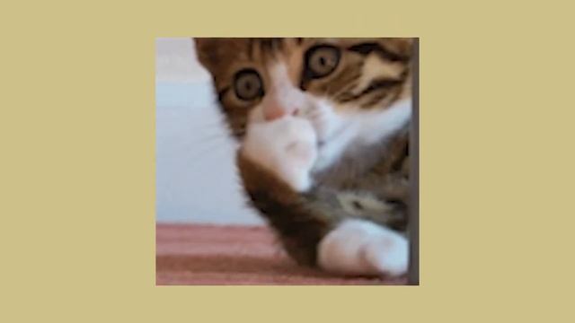 One of My Favorite Art Movements смотреть онлайн