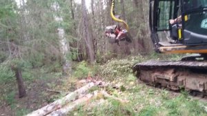 Валка леса валочная jcb, харвестерная голова logmax 6000b,прх делянка, небольшой кусочек, часть 2