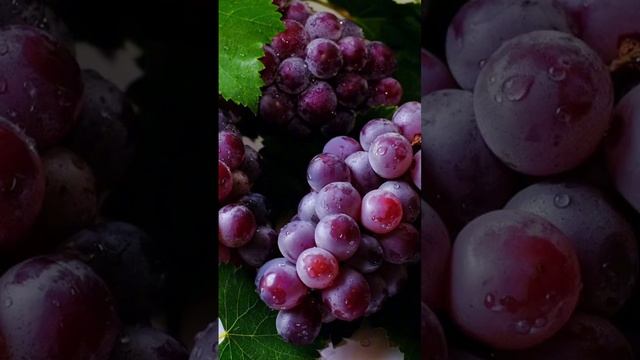 Жеміс- жидек Фрукты и ягоды смотреть онлайн