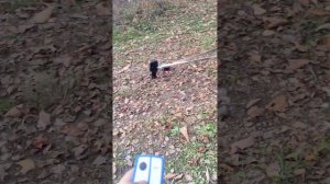 Как вытянуть из грязи авто, при помощи эллектрической лебёдки, без площадки