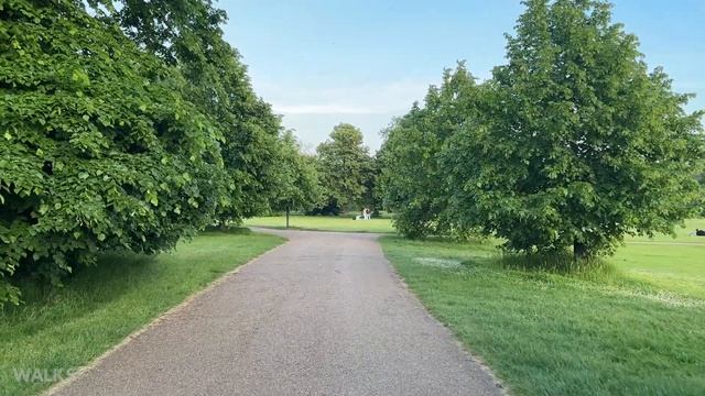 Sunset Walk In Kensington Gardens | Calming Green Ambiance | Central London,U.K | 4K смотреть онлайн