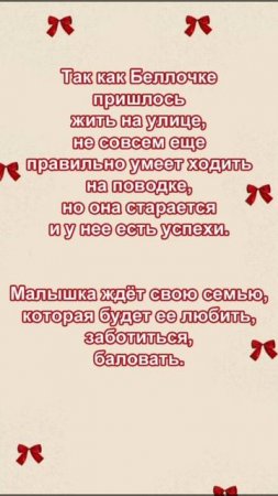 Бэллочка ждёт самых лучших хозяев!!! 💖 🐕