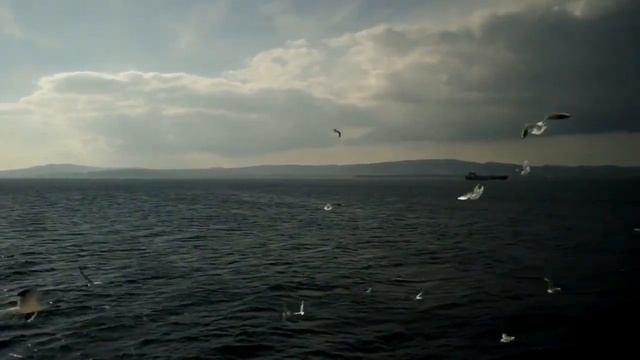 Дмитрий Габрошук - Чайки смотреть онлайн