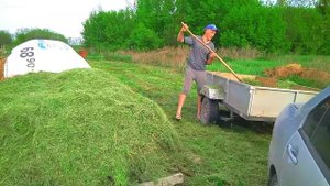 Уборка сена!
