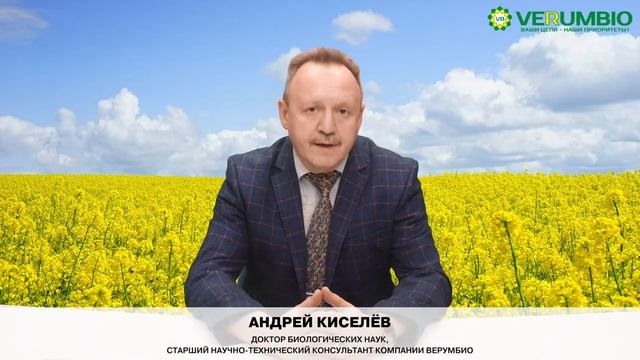 Разбираем ошибки при кормлении птицы