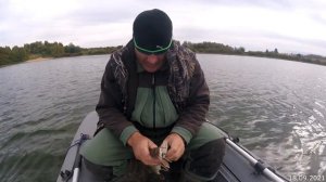 Воблер ,,OSP Varuna,, в белой расцветке сделал рыбалку!!!