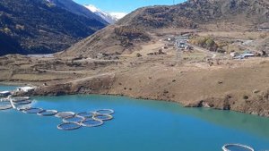 АЛАНИЯ.Мамисонское ущелье, водохранилище. Сентябрь 2023г