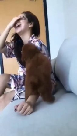 viral.!! seorang gadis di cabulin anjing