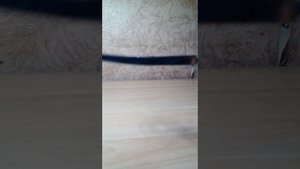Зажим кохера