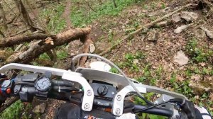 Ильич апрель 2024