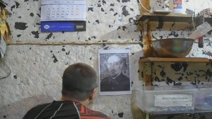 Тест мухояра