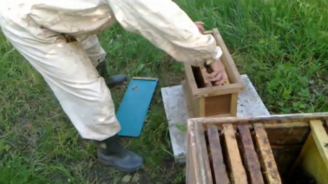 Пчеловодство смотреть онлайн